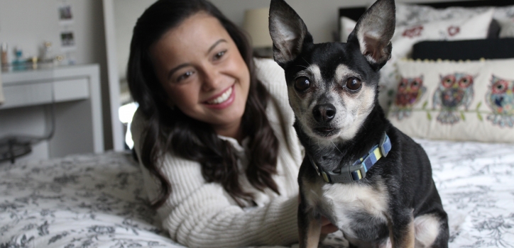 GRIEVING A DOG – FAREWELL MY LITTLE TOTO GRIEVING A DOG – FAREWELL MY LITTLE TOTO